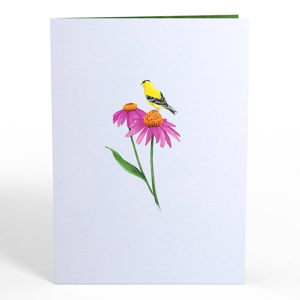 5x7" Summer Welcome Pop-Up Card
