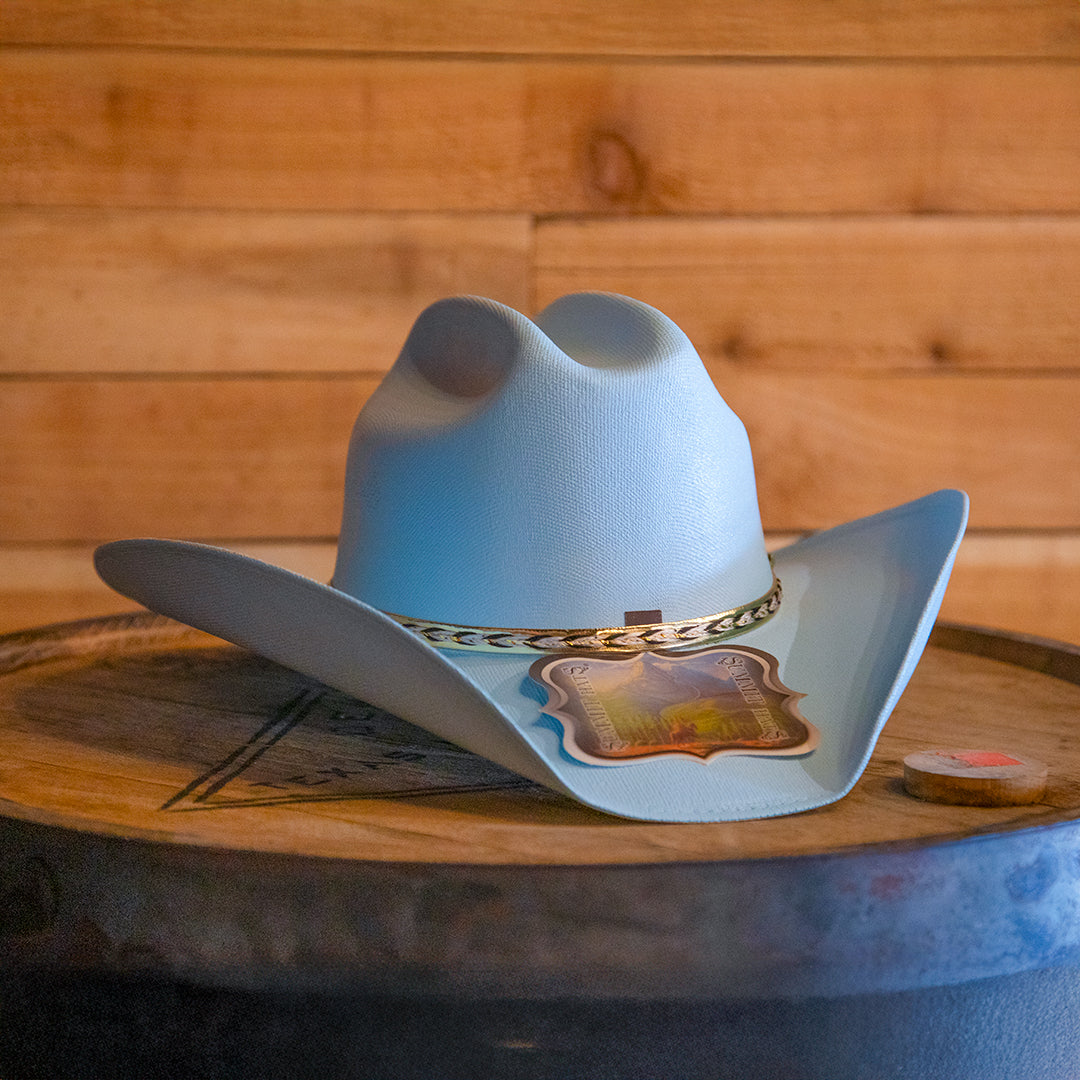 Cowboy Hat Canvas
