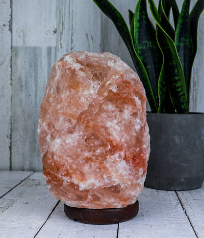 Himalayan Pink Salt Lamp -Large