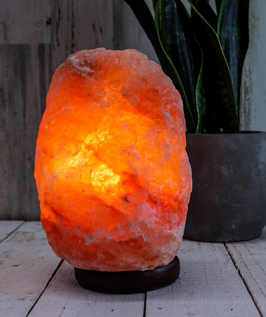 Himalayan Pink Salt Lamp -Large