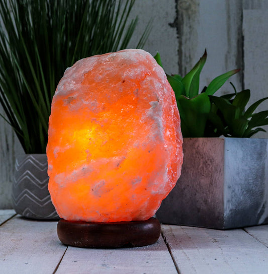 Himalayan Pink Salt Lamp - Medium