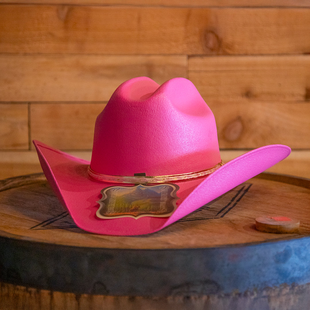 Cowboy Hat Canvas