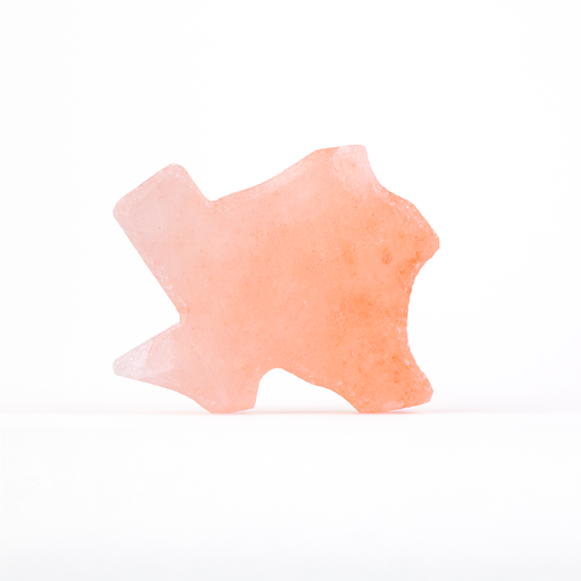 Himalayan Texas Shape Salt Stone